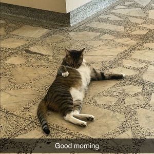 Meet your Posher, Lionel